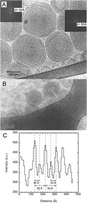 Morphologies and Structure of Brain <mark class="highlighted">Lipid Membrane</mark> Dispersions